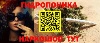 стаф Свободный