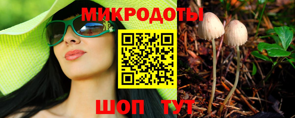 Галлюциногенные грибы Psilocybine cubensis Орехово-Зуево